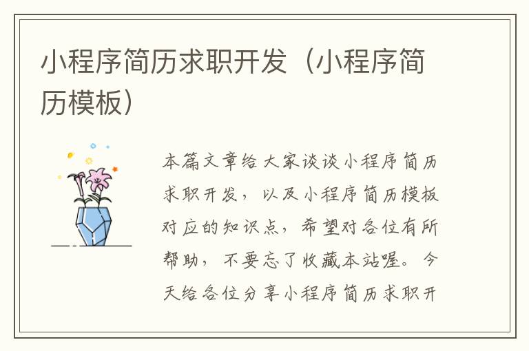 小程序简历求职开发(小程序简历模板)