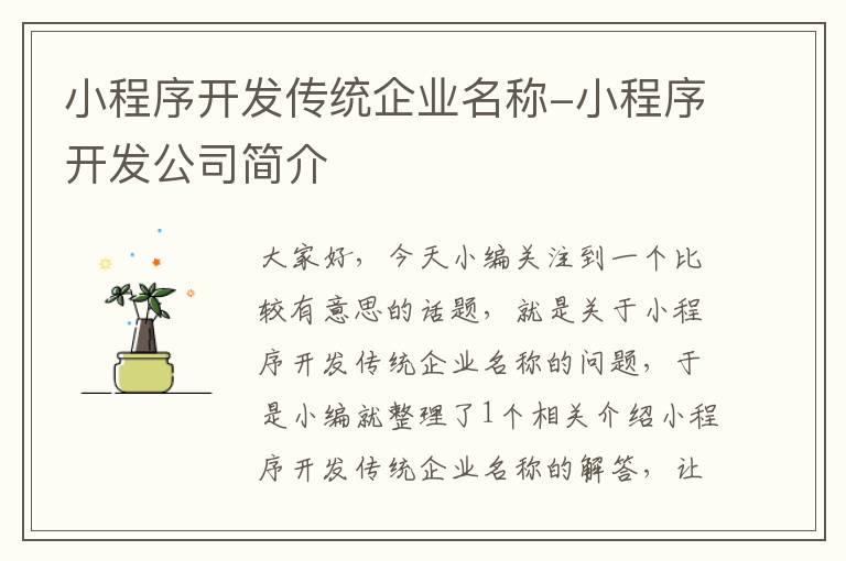 小程序开发传统企业名称-小程序开发公司简介
