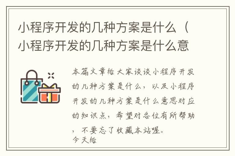 小程序开发的几种方案是什么(小程序开发的几种方案是什么意思)
