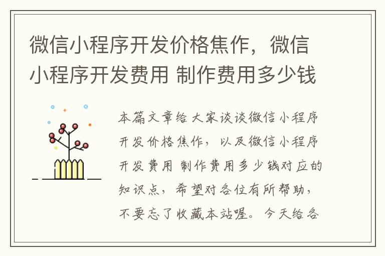 微信小程序开发价格焦作,微信小程序开发费用 制作费用多少钱
