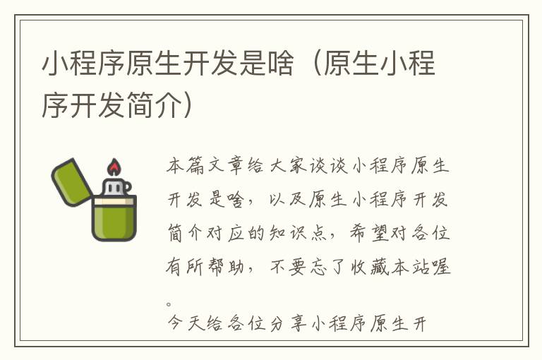 小程序原生开发是啥(原生小程序开发简介)