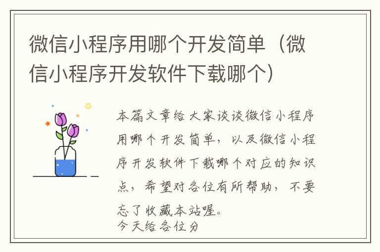 微信小程序用哪个开发简单(微信小程序开发软件下载哪个)