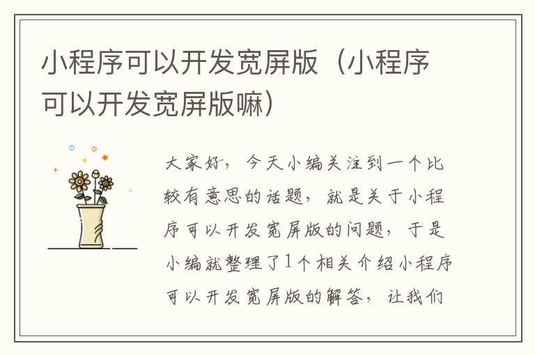 小程序可以开发宽屏版(小程序可以开发宽屏版嘛)