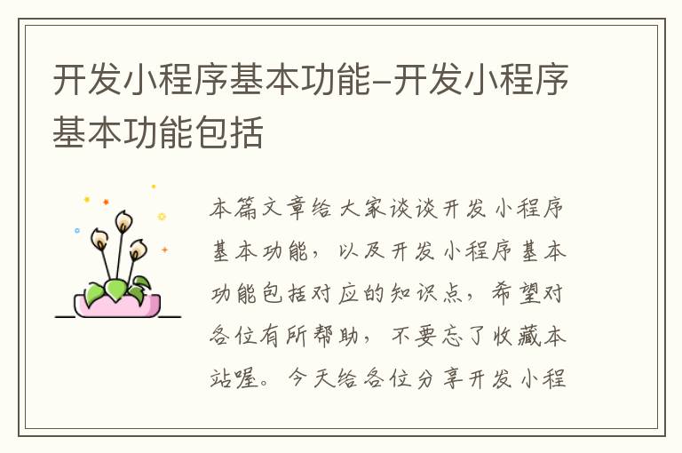 开发小程序基本功能-开发小程序基本功能包括