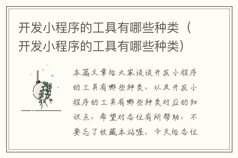 开发小程序的工具有哪些种类(开发小程序的工具有哪些种类)