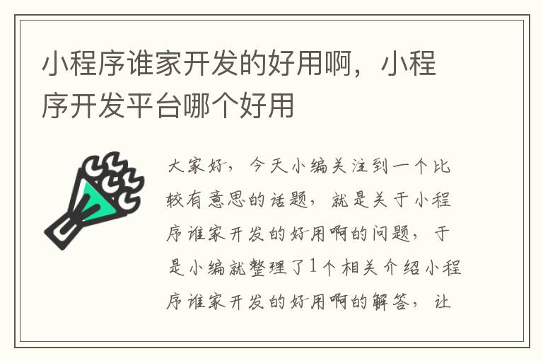 小程序谁家开发的好用啊,小程序开发平台哪个好用