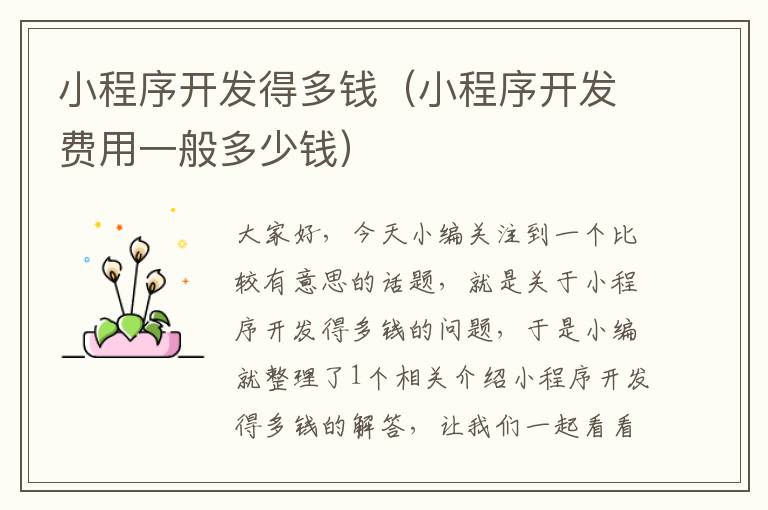 小程序开发得多钱(小程序开发费用一般多少钱)