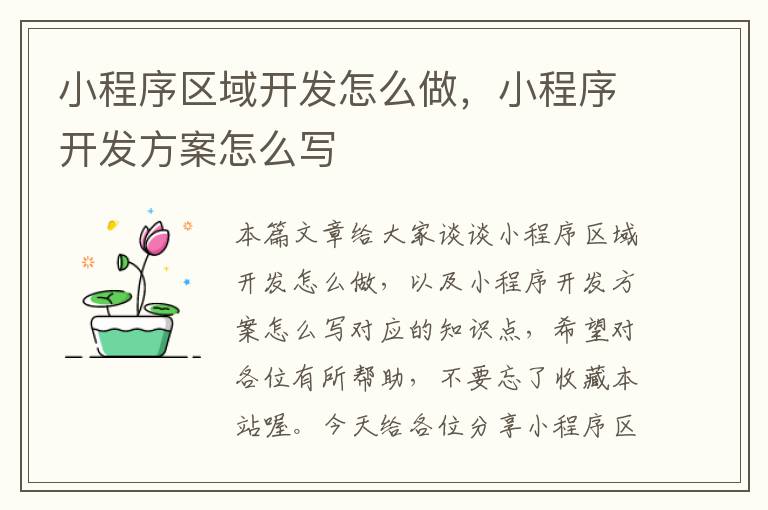 小程序区域开发怎么做,小程序开发方案怎么写