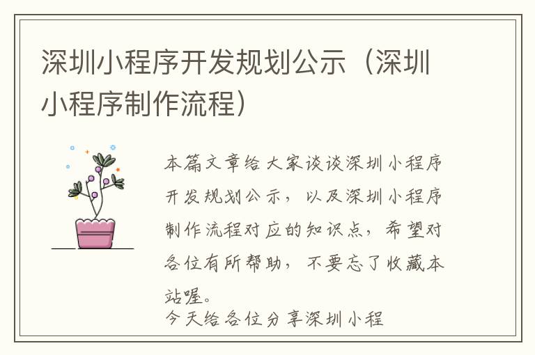 深圳小程序开发规划公示(深圳小程序制作流程)