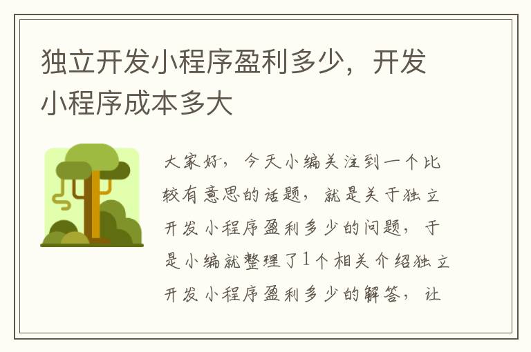 独立开发小程序盈利多少,开发小程序成本多大