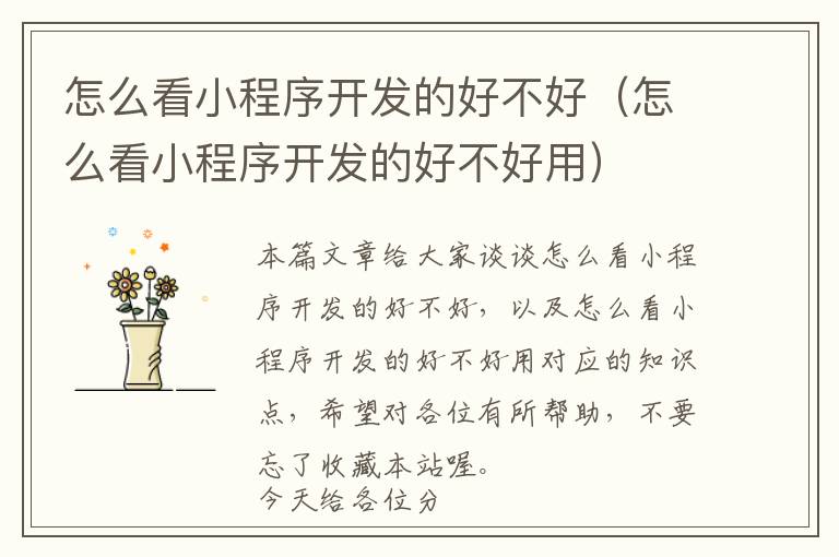 怎么看小程序开发的好不好(怎么看小程序开发的好不好用)
