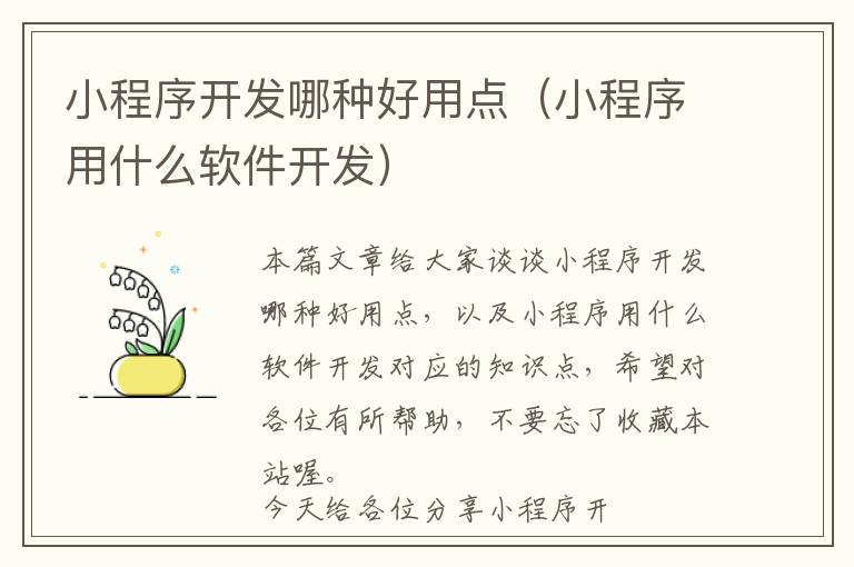 小程序开发哪种好用点(小程序用什么软件开发)