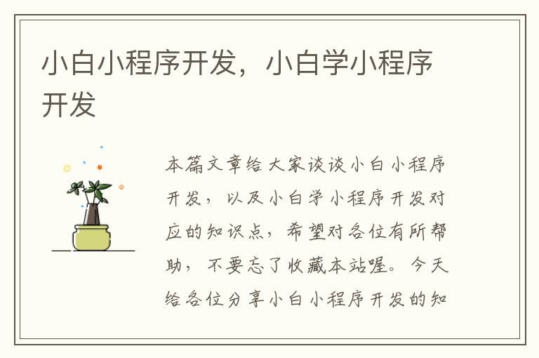 小白小程序开发,小白学小程序开发