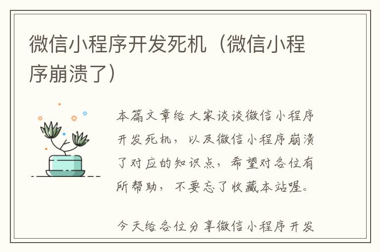微信小程序开发死机(微信小程序崩溃了)