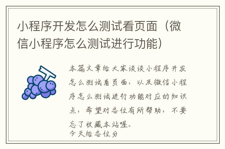 小程序开发怎么测试看页面(微信小程序怎么测试进行功能)