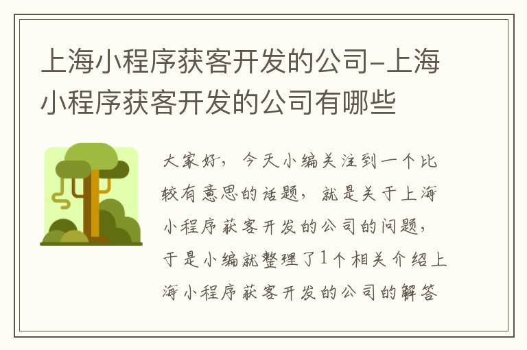上海小程序获客开发的公司-上海小程序获客开发的公司有哪些