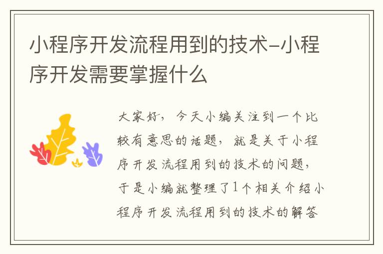 小程序开发流程用到的技术-小程序开发需要掌握什么