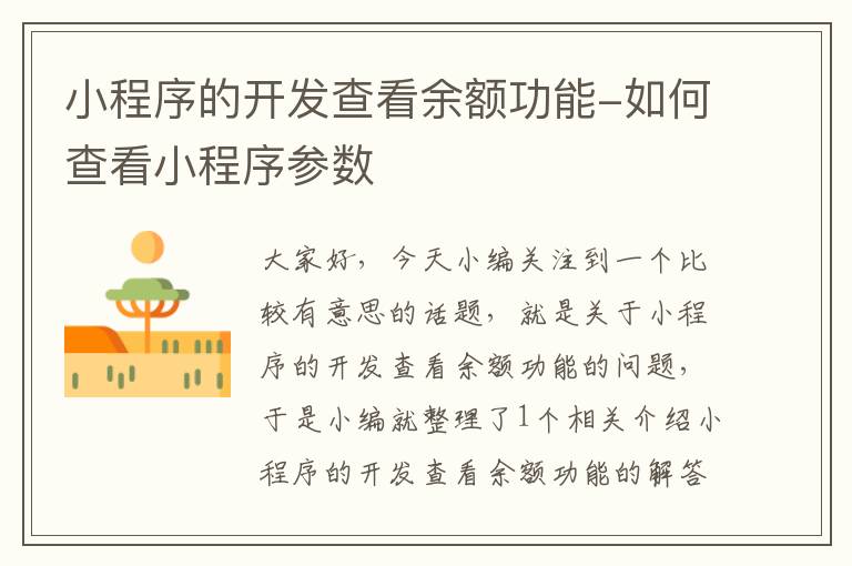 小程序的开发查看余额功能-如何查看小程序参数