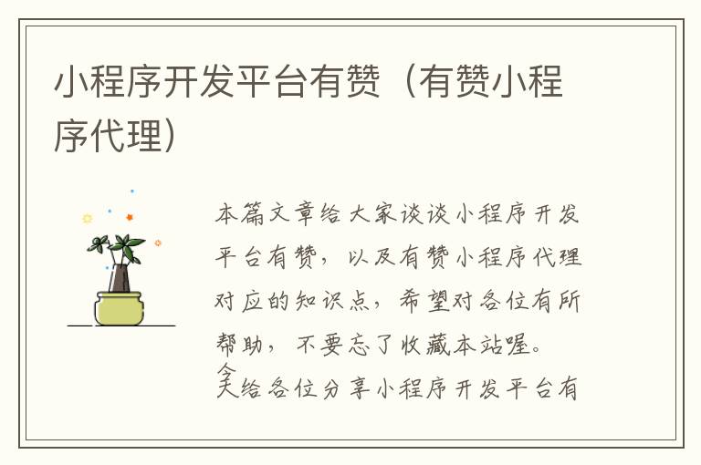 小程序开发平台有赞(有赞小程序代理)