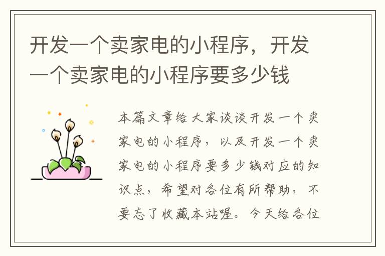 开发一个卖家电的小程序，开发一个卖家电的小程序要多少钱