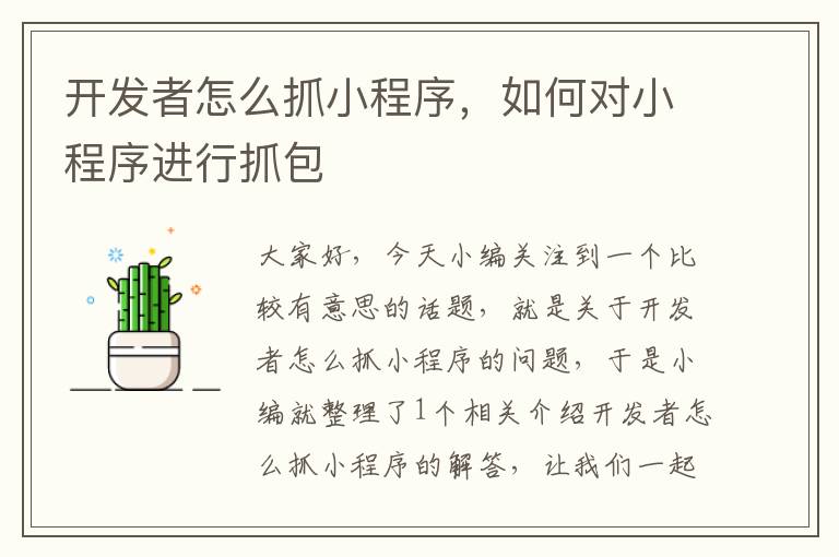 开发者怎么抓小程序,如何对小程序进行抓包