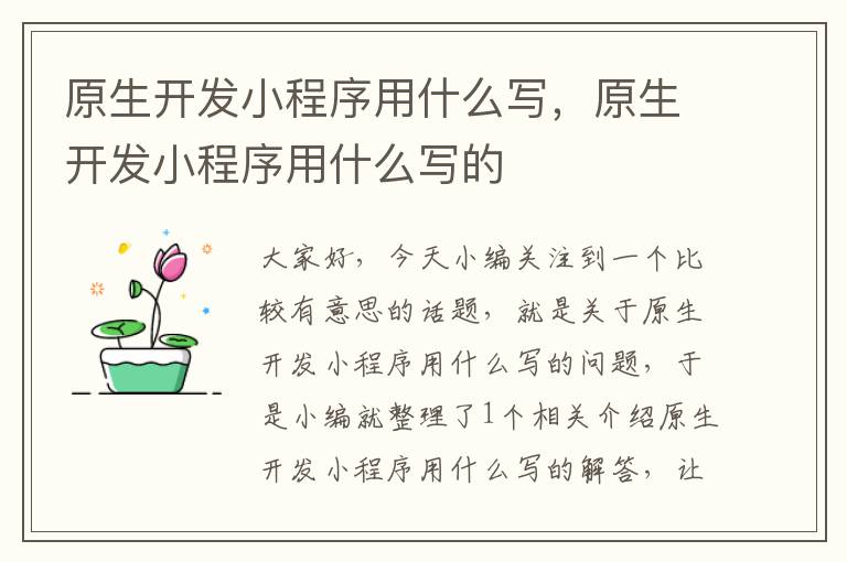 原生开发小程序用什么写,原生开发小程序用什么写的