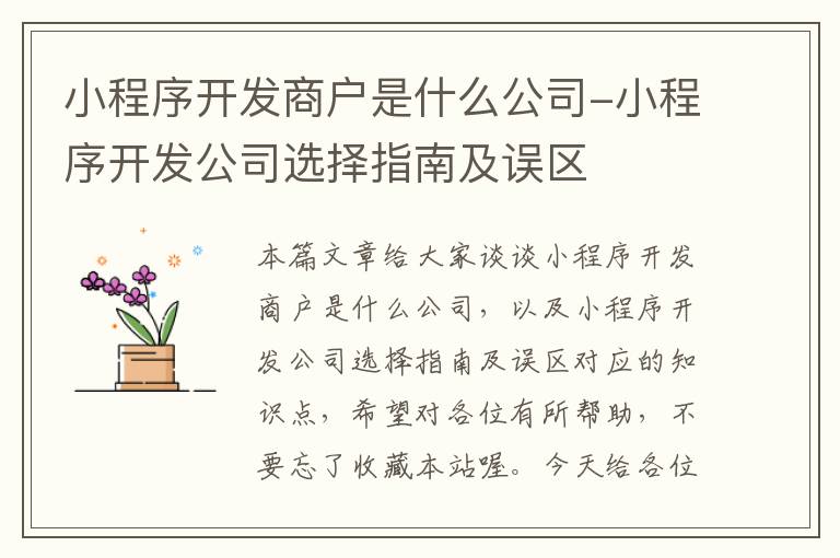 小程序开发商户是什么公司-小程序开发公司选择指南及误区