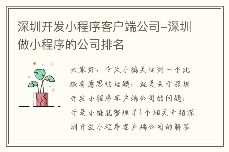 深圳开发小程序客户端公司-深圳做小程序的公司排名