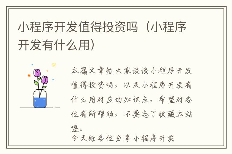 小程序开发值得投资吗(小程序开发有什么用)