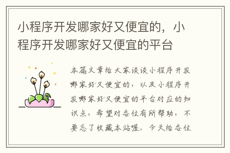 小程序开发哪家好又便宜的,小程序开发哪家好又便宜的平台