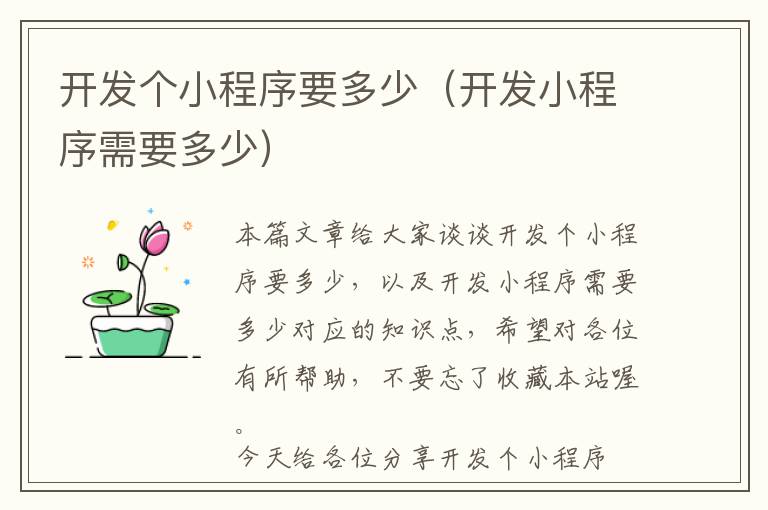 开发个小程序要多少(开发小程序需要多少)