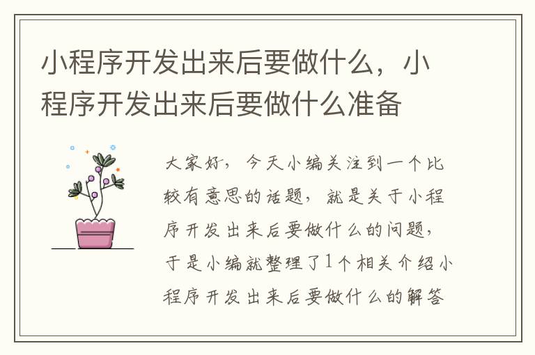 小程序开发出来后要做什么,小程序开发出来后要做什么准备