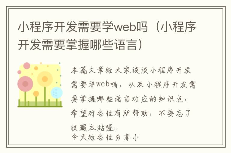 小程序开发需要学web吗(小程序开发需要掌握哪些语言)