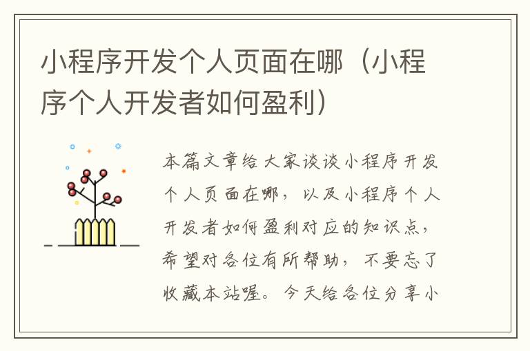 小程序开发个人页面在哪(小程序个人开发者如何盈利)