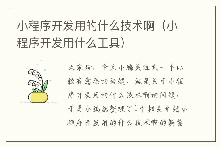 小程序开发用的什么技术啊(小程序开发用什么工具)