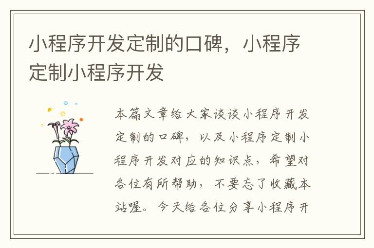 小程序开发定制的口碑,小程序定制小程序开发