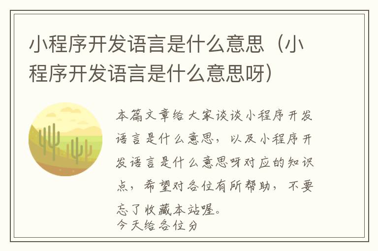小程序开发语言是什么意思(小程序开发语言是什么意思呀)