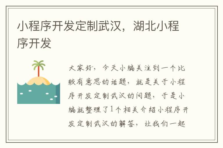 小程序开发定制武汉,湖北小程序开发