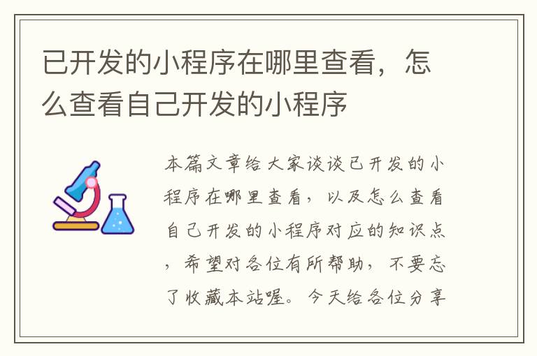 已开发的小程序在哪里查看,怎么查看自己开发的小程序