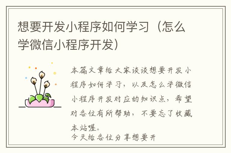 想要开发小程序如何学习(怎么学微信小程序开发)