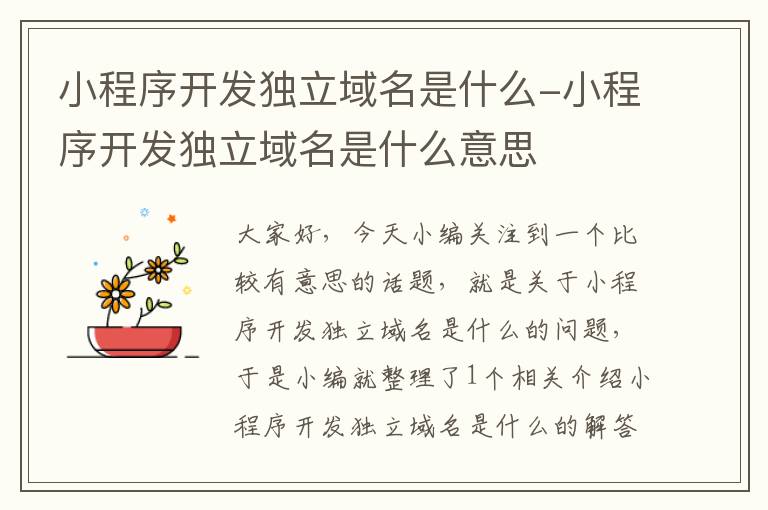 小程序开发独立域名是什么-小程序开发独立域名是什么意思