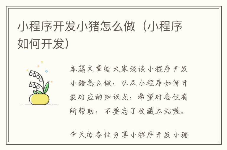 小程序开发小猪怎么做(小程序如何开发)