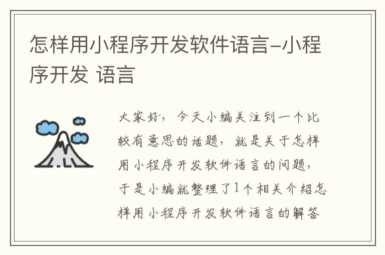 怎样用小程序开发软件语言-小程序开发 语言