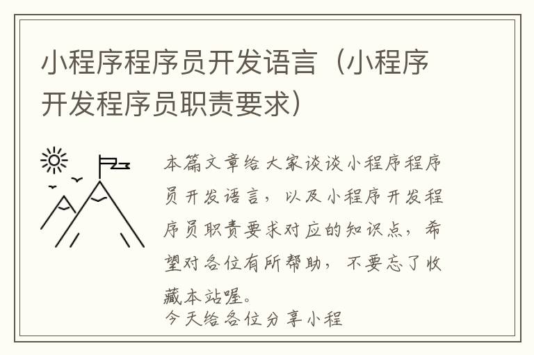 小程序程序员开发语言(小程序开发程序员职责要求)