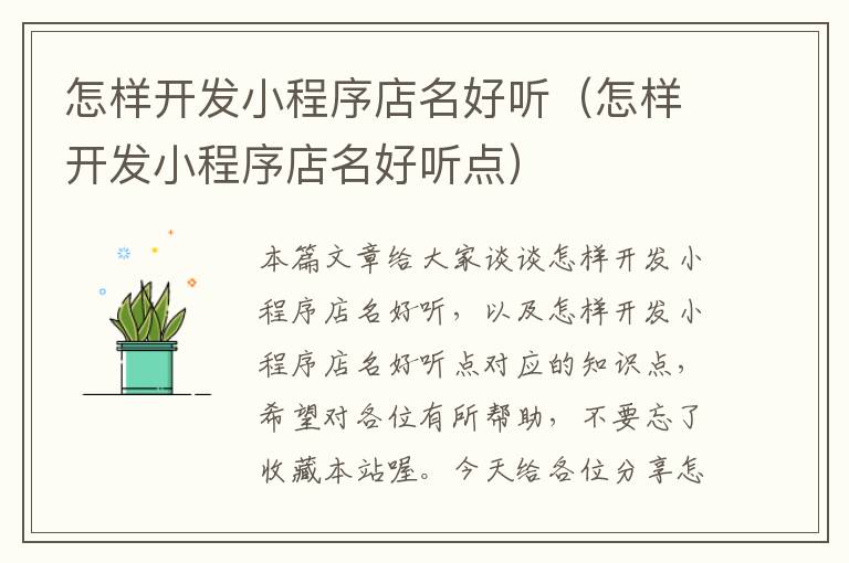 怎样开发小程序店名好听(怎样开发小程序店名好听点)