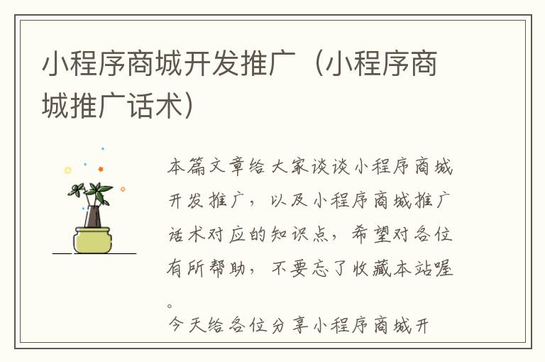 小程序商城开发推广(小程序商城推广话术)