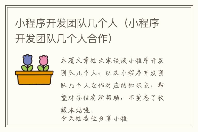 小程序开发团队几个人(小程序开发团队几个人合作)
