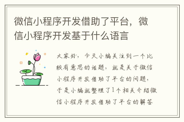 微信小程序开发借助了平台,微信小程序开发基于什么语言