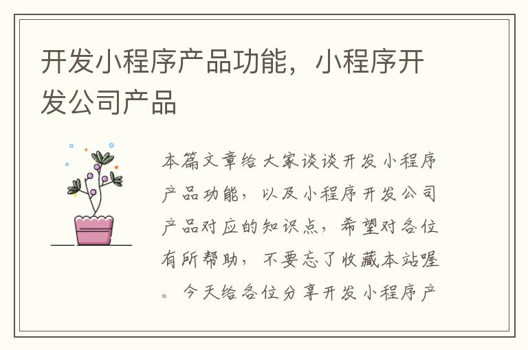 开发小程序产品功能,小程序开发公司产品