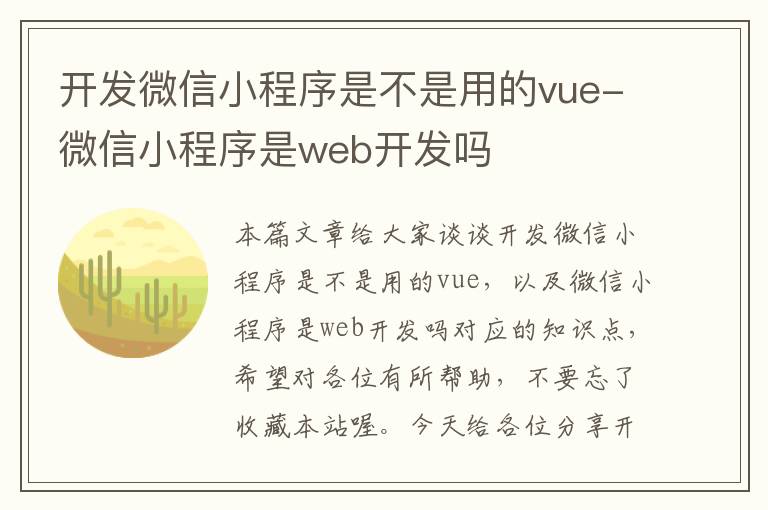 开发微信小程序是不是用的vue-微信小程序是web开发吗